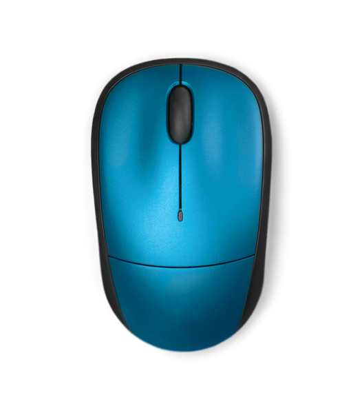 Blue Computer Mouse